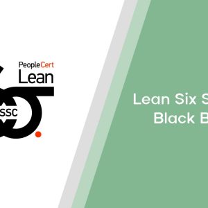 Lean Six Sigma - Black Belt