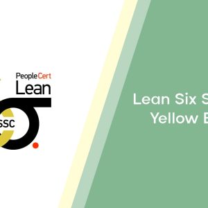 Lean Six Sigma - Yellow Belt