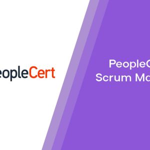 Professional Scrum Master™ II (PSM II)