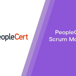 Professional Scrum Master™ I (PSM I)
