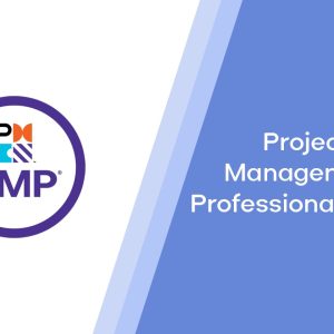 Project Management Professional (PMP)®
